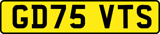 GD75VTS