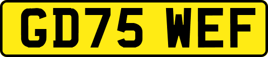 GD75WEF