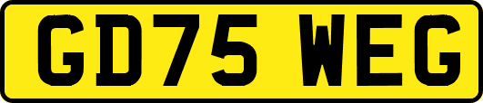 GD75WEG