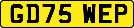 GD75WEP