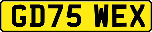 GD75WEX