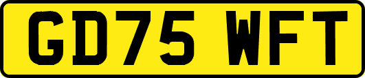 GD75WFT