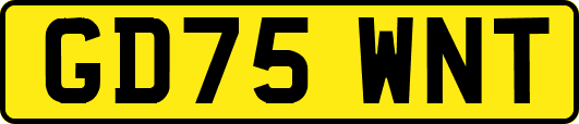 GD75WNT