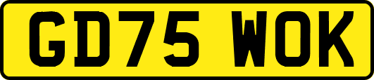 GD75WOK