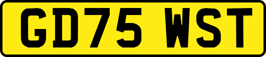 GD75WST