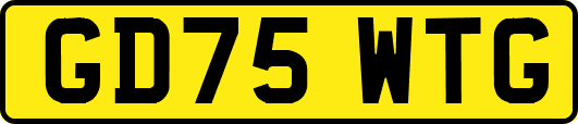 GD75WTG