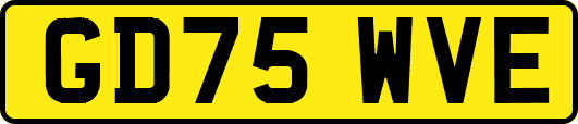 GD75WVE
