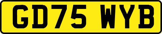 GD75WYB