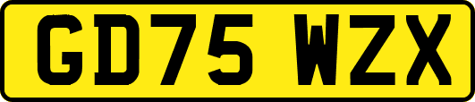 GD75WZX