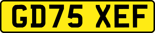 GD75XEF
