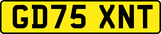 GD75XNT