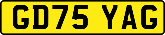GD75YAG