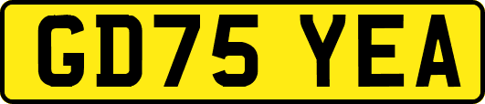 GD75YEA