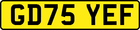 GD75YEF