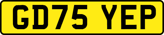 GD75YEP