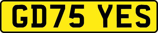 GD75YES