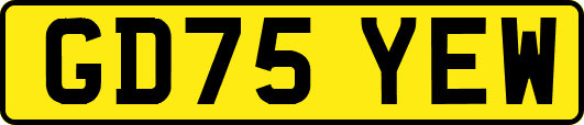 GD75YEW