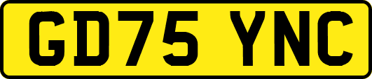 GD75YNC