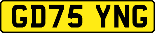 GD75YNG