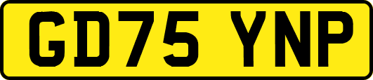 GD75YNP