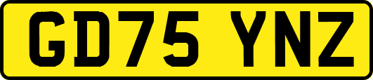 GD75YNZ