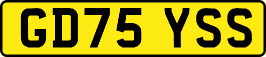 GD75YSS