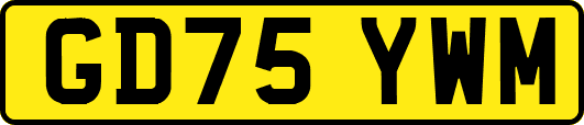 GD75YWM