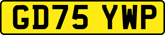 GD75YWP