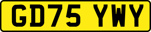 GD75YWY
