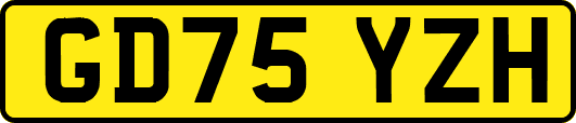 GD75YZH