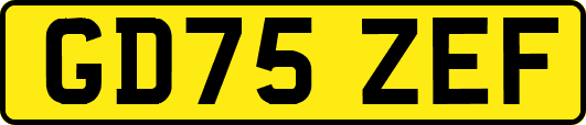 GD75ZEF