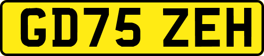GD75ZEH