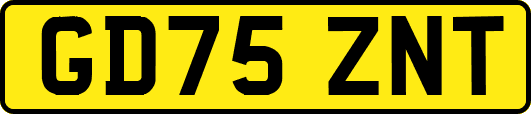 GD75ZNT