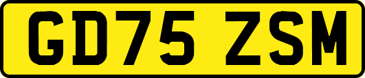 GD75ZSM
