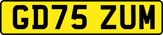 GD75ZUM
