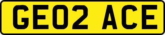 GE02ACE
