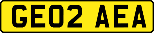 GE02AEA