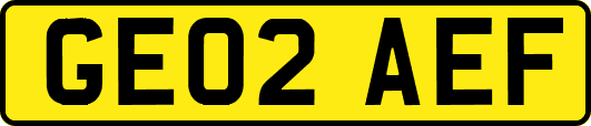 GE02AEF
