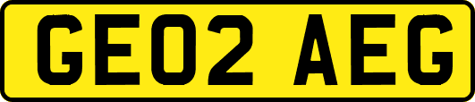 GE02AEG