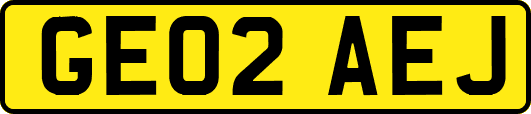 GE02AEJ