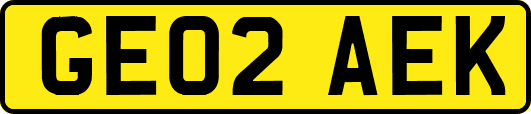 GE02AEK