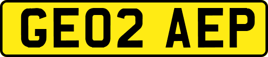 GE02AEP