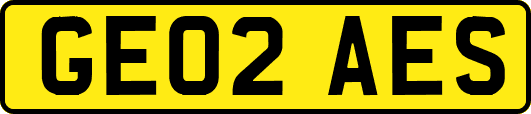 GE02AES
