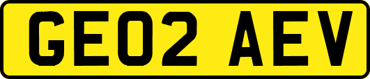 GE02AEV
