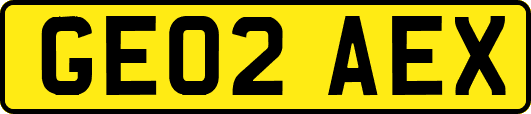 GE02AEX