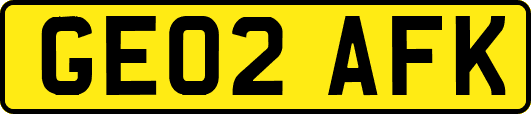GE02AFK