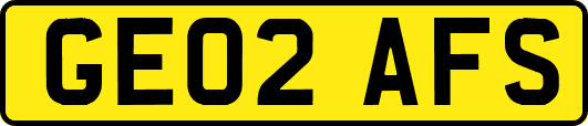 GE02AFS