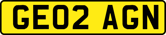 GE02AGN