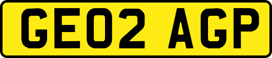 GE02AGP