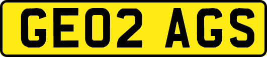 GE02AGS
